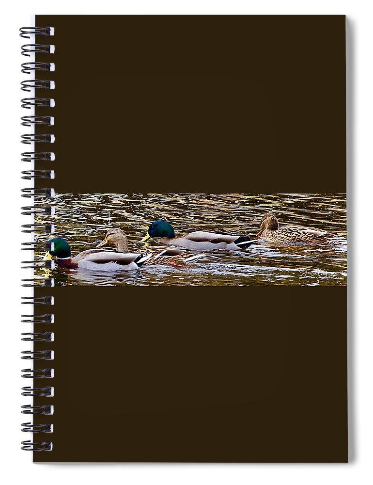 Ducks Spiral Notebook featuring the photograph All my Ducks in a Row by Shawn M Greener
