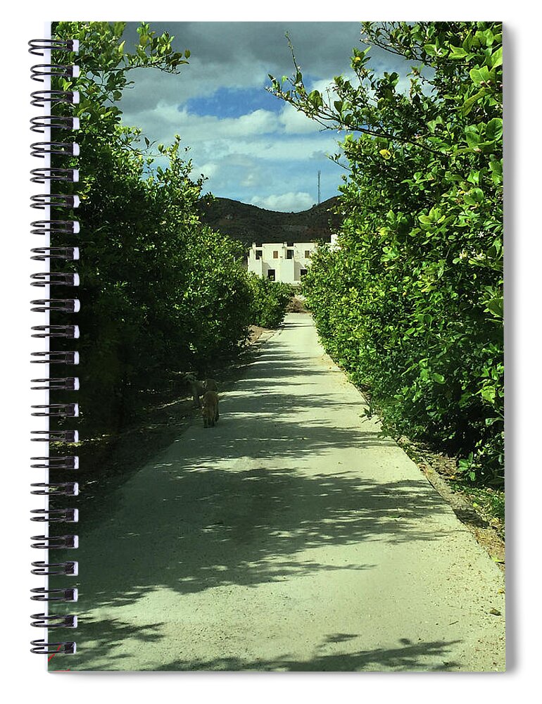 Colette Spiral Notebook featuring the photograph Almeria Mountain Road Spain by Colette V Hera Guggenheim