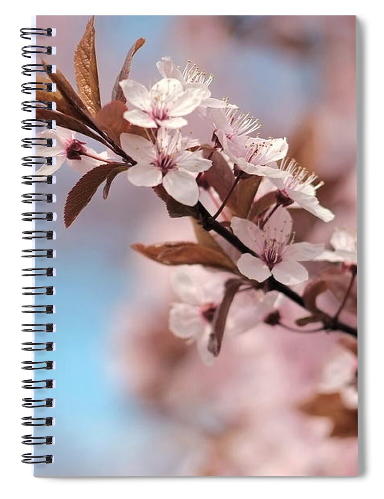 Bloom Spiral Notebook featuring the photograph Almond Blossom by Dariusz Gudowicz