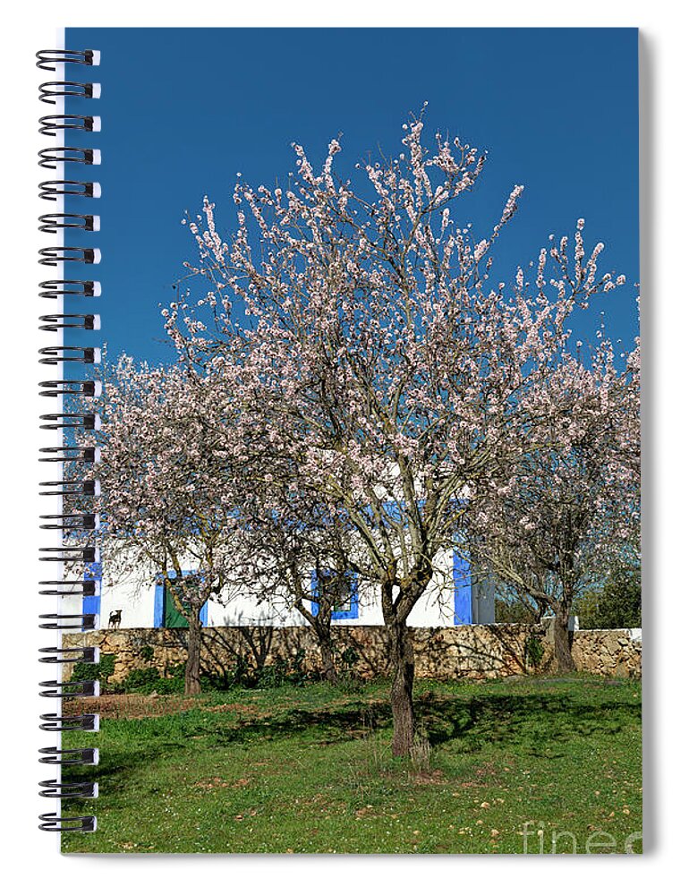 Almond Spiral Notebook featuring the photograph Almond tree cottage by Mikehoward Photography