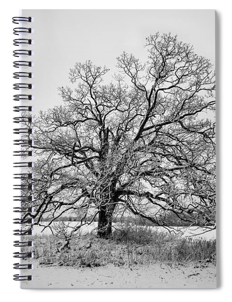 B&w Spiral Notebook featuring the photograph Alone by David Letts