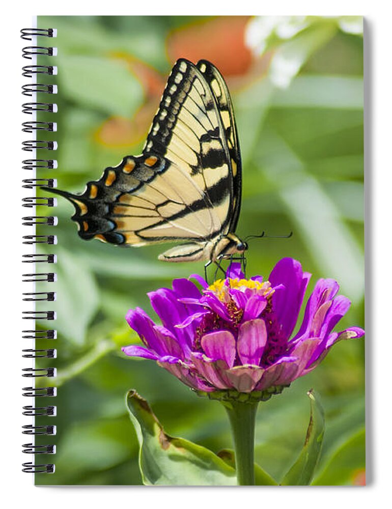 Along Spiral Notebook featuring the photograph Along Came the Butterfly by Bill Cannon