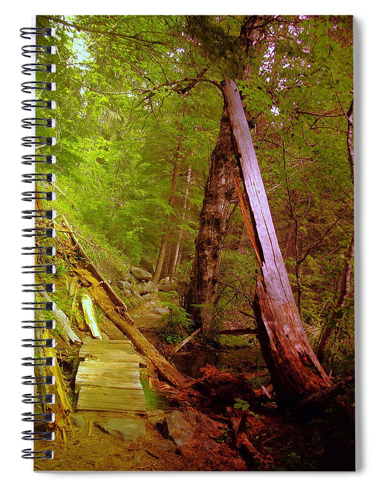 Forest Spiral Notebook featuring the photograph Along the way by Jeff Swan