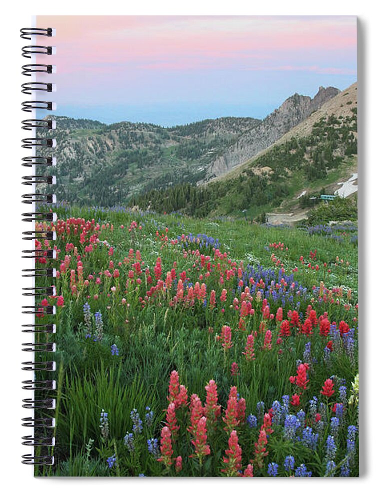 Landscape Spiral Notebook featuring the photograph Alpine Wildflowers and View at Sunset by Brett Pelletier