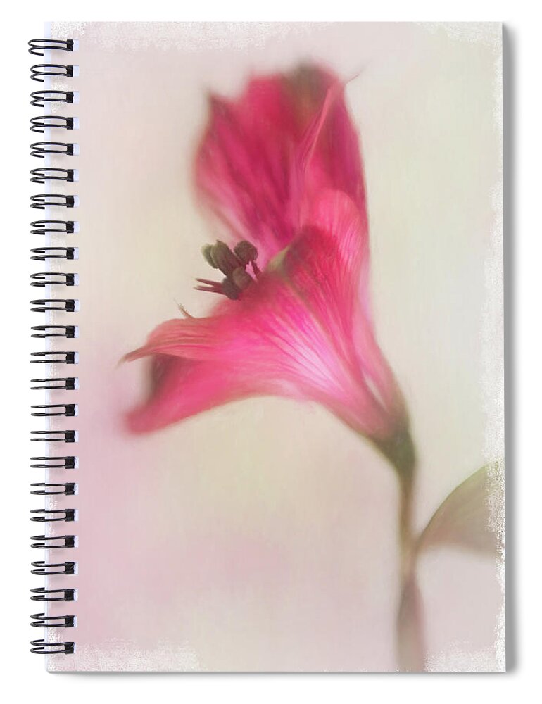 Alstroemeria Spiral Notebook featuring the photograph Alstroemeria in Bloom by David and Carol Kelly