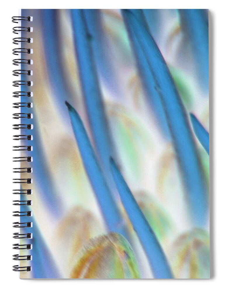 Altered Spiral Notebook featuring the photograph Altered Flower - 113 by Andrew Hewett