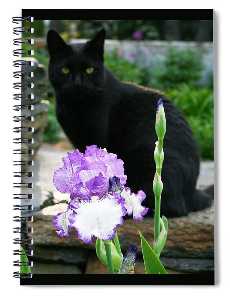 Cat Spiral Notebook featuring the photograph Always There by Kristin Hatt