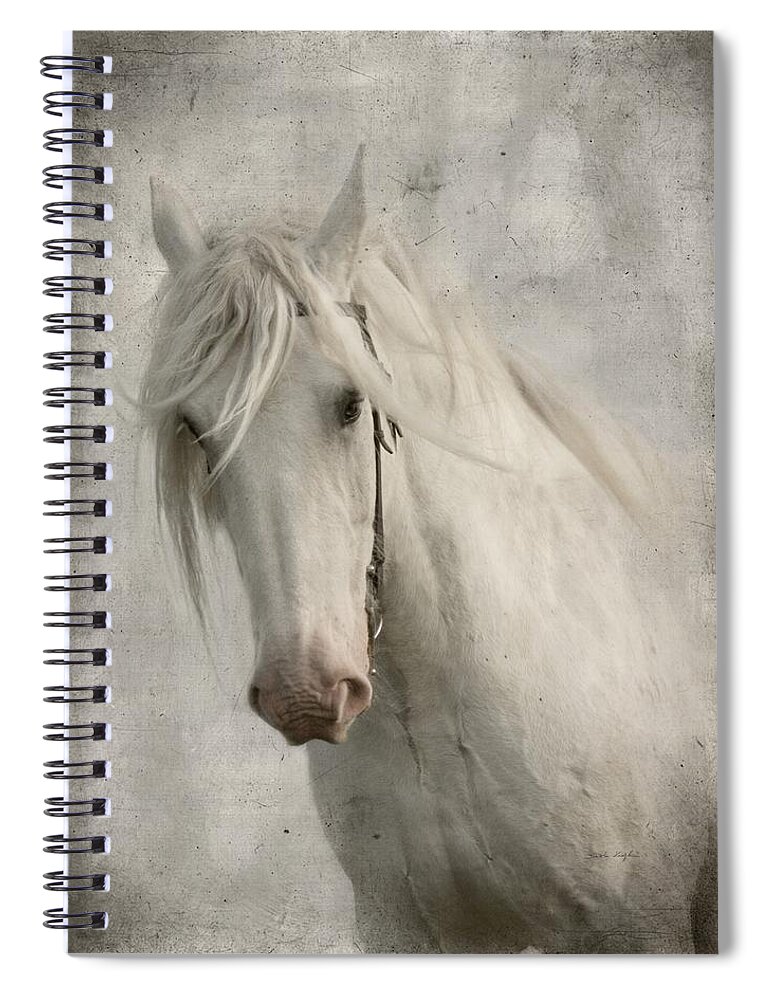 Horse Spiral Notebook featuring the photograph Amazing Grace by Dorota Kudyba