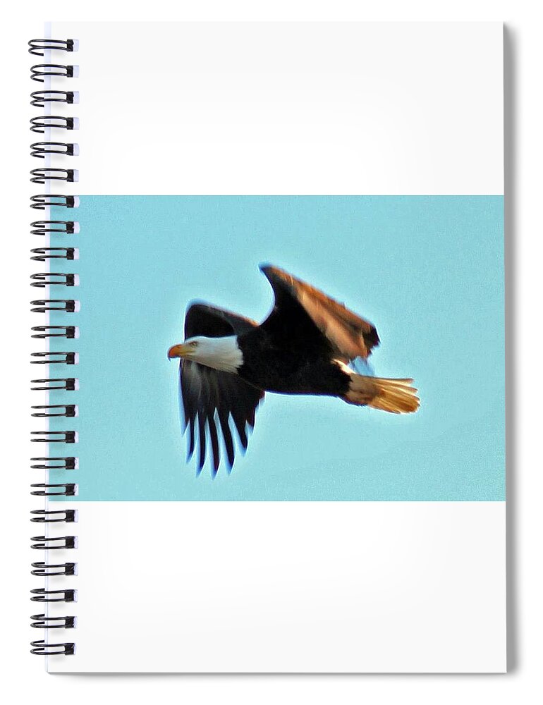 Eagle Spiral Notebook featuring the photograph American Eagle by Dr Janine Williams