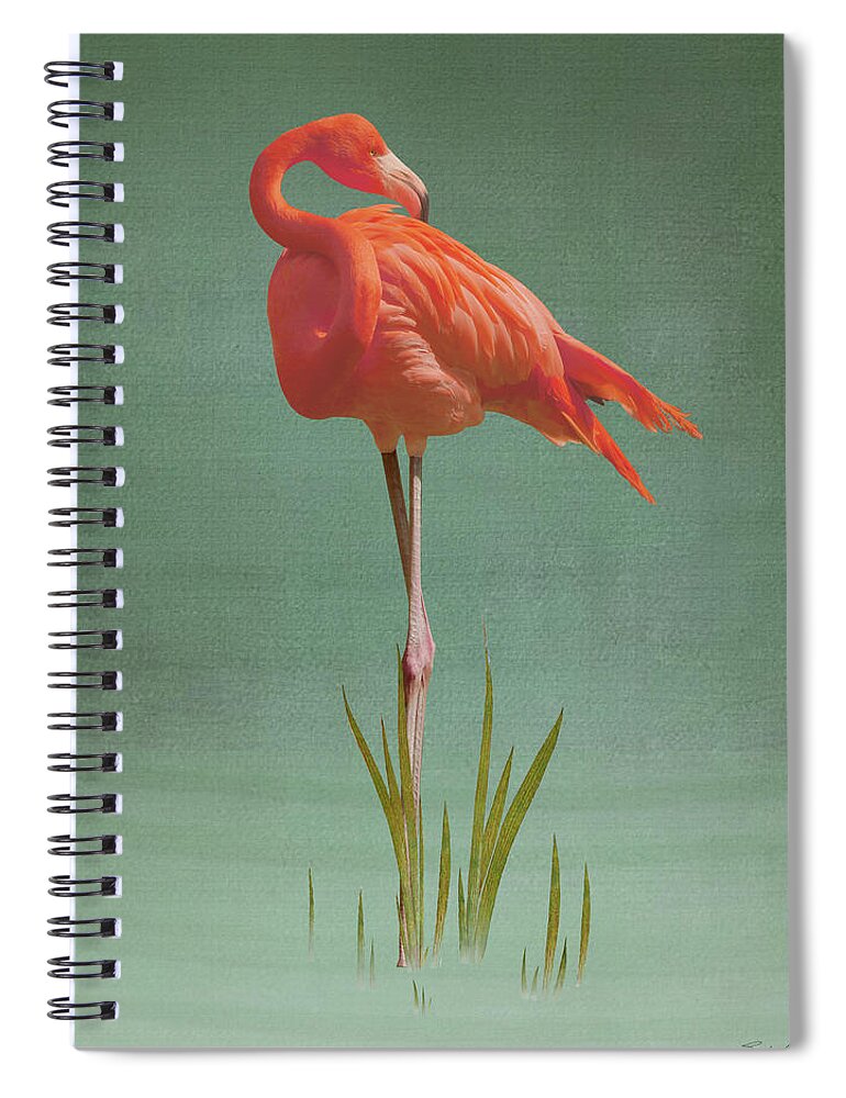 Bird Spiral Notebook featuring the digital art American Flamingo by M Spadecaller