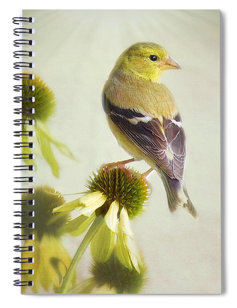 Nature Spiral Notebook featuring the photograph American Goldfinch On Coneflower by Sharon McConnell