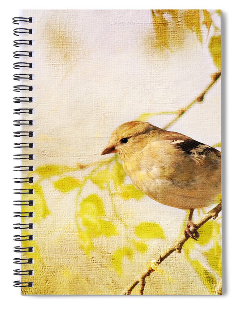 Goldfinch Spiral Notebook featuring the photograph American Goldfinch by Pam Holdsworth