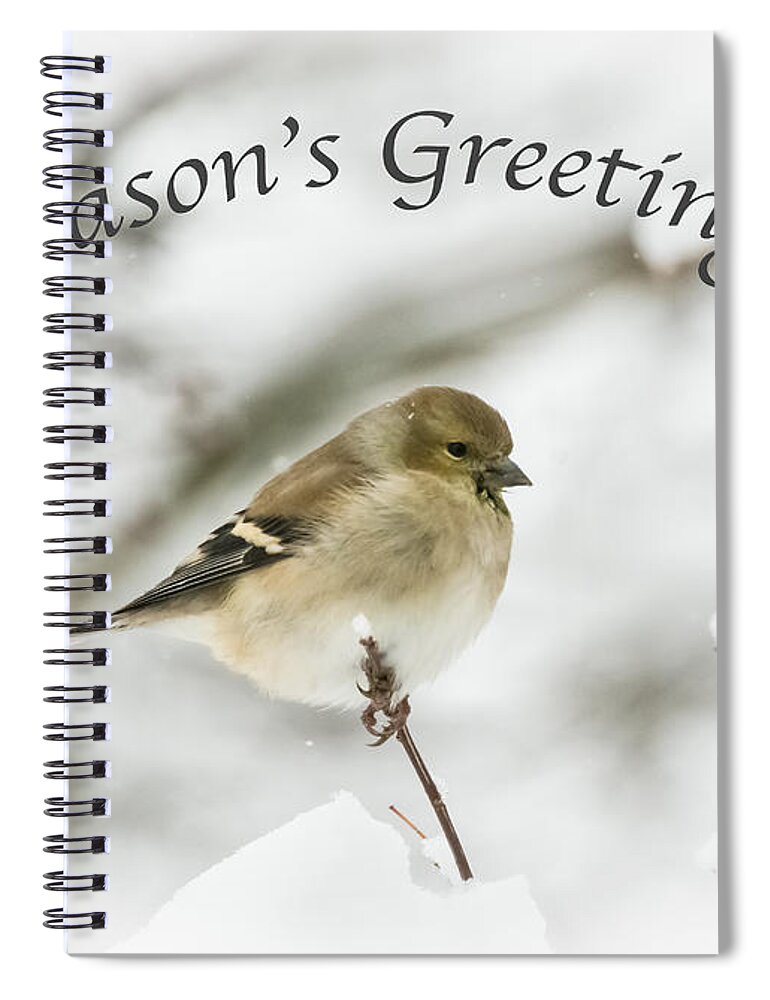 American Goldfinch Spiral Notebook featuring the photograph American Goldfinch - Season's Greetings by Holden The Moment