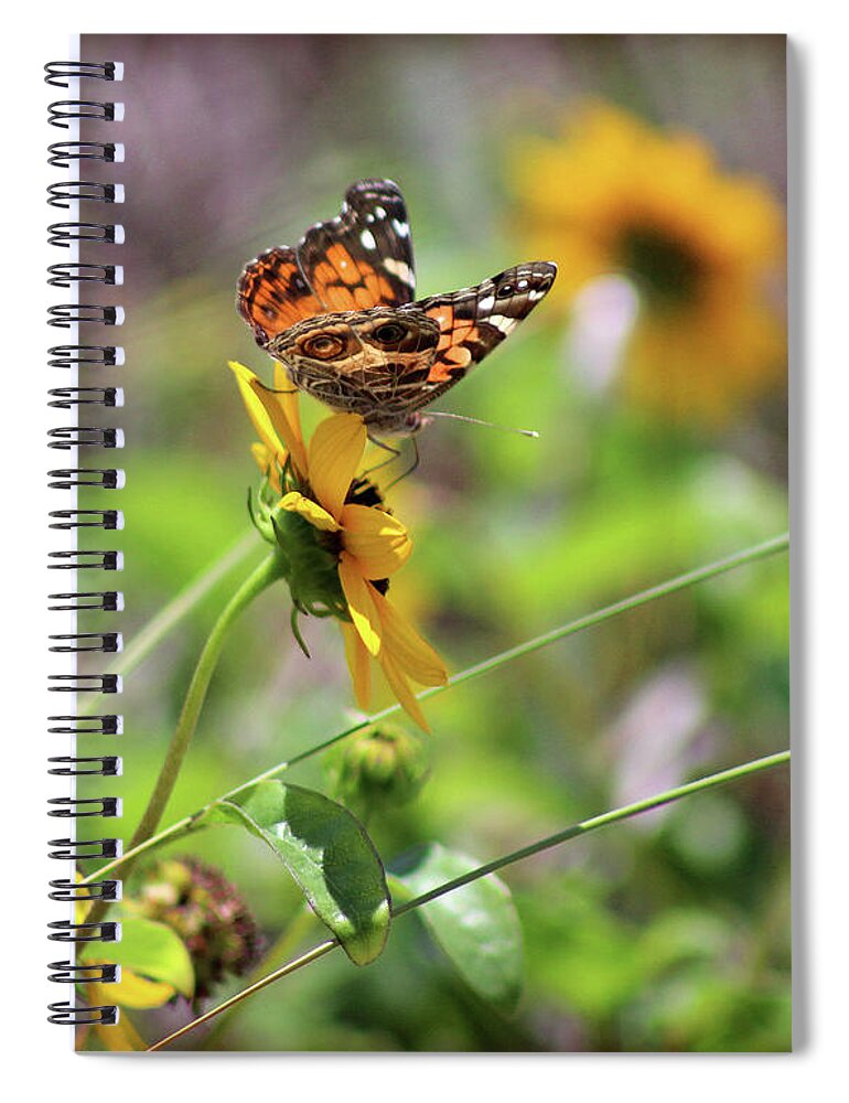 Butterfly Spiral Notebook featuring the photograph American Lady Butterfly by the Beach by Karen Adams