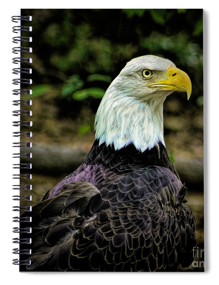 Art Prints Spiral Notebook featuring the photograph American Pride by Dave Bosse