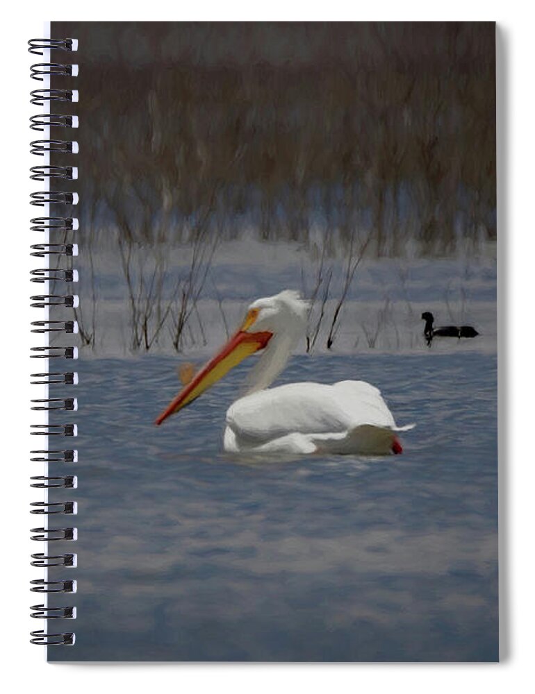 American White Pelican Spiral Notebook featuring the digital art American White Pelican Searching Da by Ernest Echols