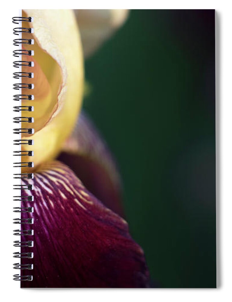 Iris Spiral Notebook featuring the photograph Among the Irises by Holly Ross