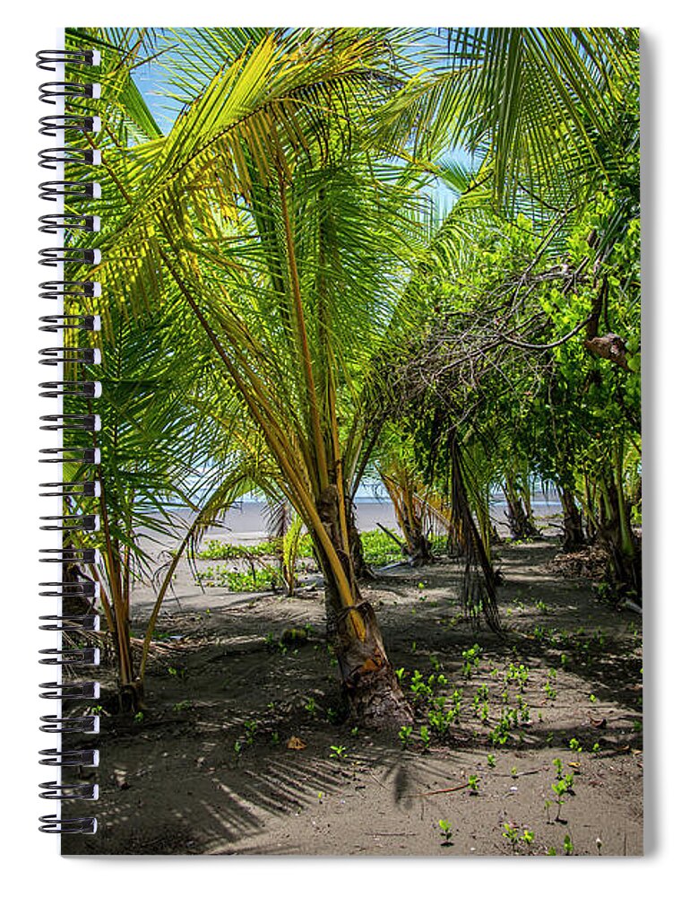 Spa Spiral Notebook featuring the photograph Among the Palms by David Morefield