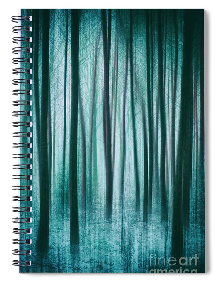 Nature Spiral Notebook featuring the photograph Among the Trees by David Lichtneker
