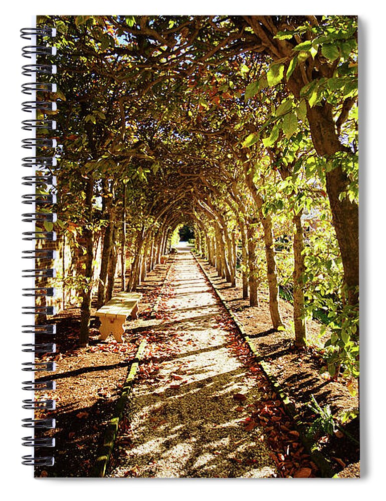 Arbor Spiral Notebook featuring the photograph An Arbor View by Rachel Morrison