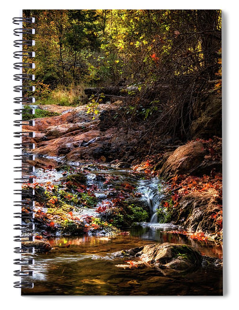 Creekside Spiral Notebook featuring the photograph An Arizona Autumn Creekside by Saija Lehtonen