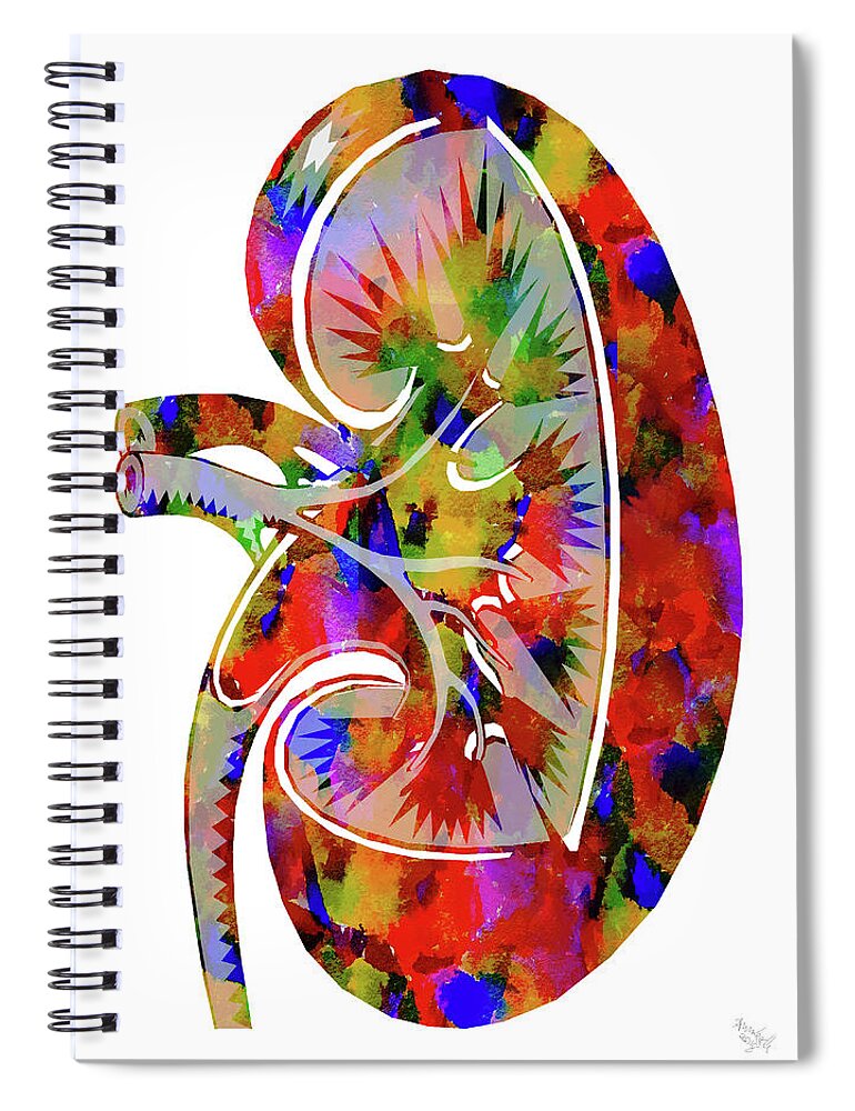 Kidney Art Spiral Notebook featuring the mixed media Anatomical Kidney by Ann Leech