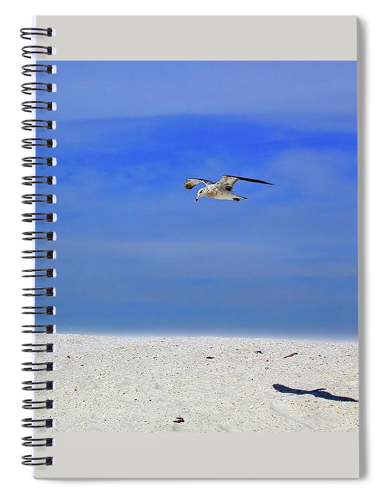 Seagull Spiral Notebook featuring the photograph Ancient Mariner by Marie Hicks