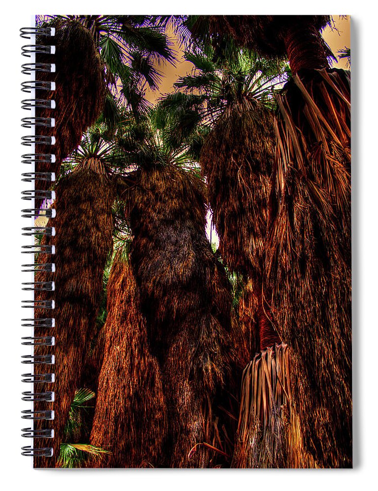 California Spiral Notebook featuring the photograph Ancient Palms at Thousand Palms Preserve by Roger Passman