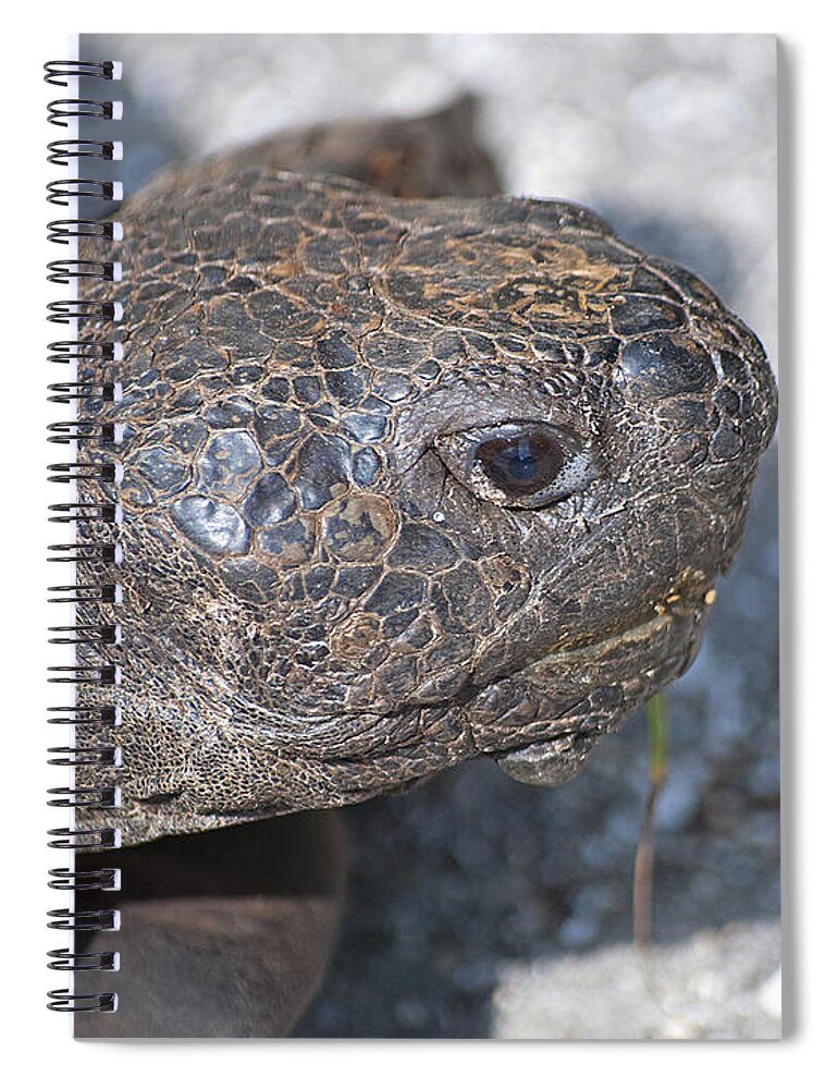 Wildlife Spiral Notebook featuring the photograph Ancient Profile by Kenneth Albin