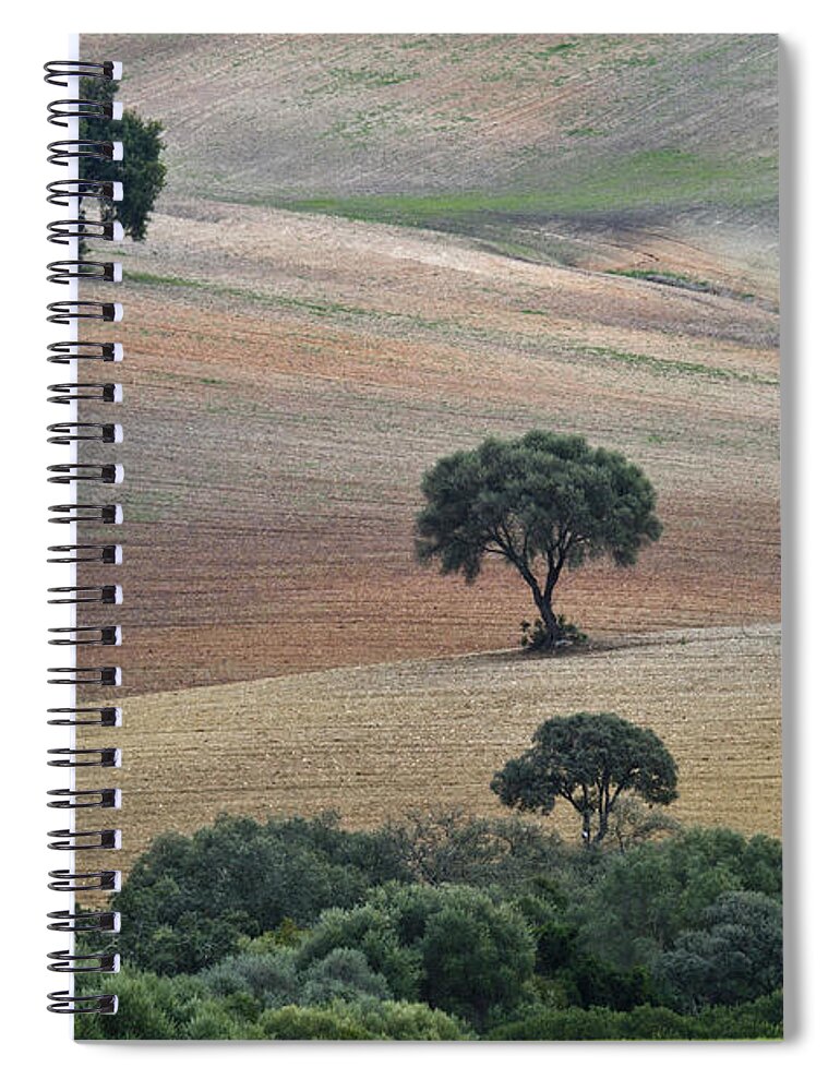 Landscape Spiral Notebook featuring the photograph Andalusian Landscape by Heiko Koehrer-Wagner