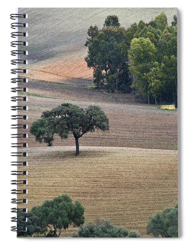 Landscape Spiral Notebook featuring the photograph Andalusian Meadows 1 by Heiko Koehrer-Wagner