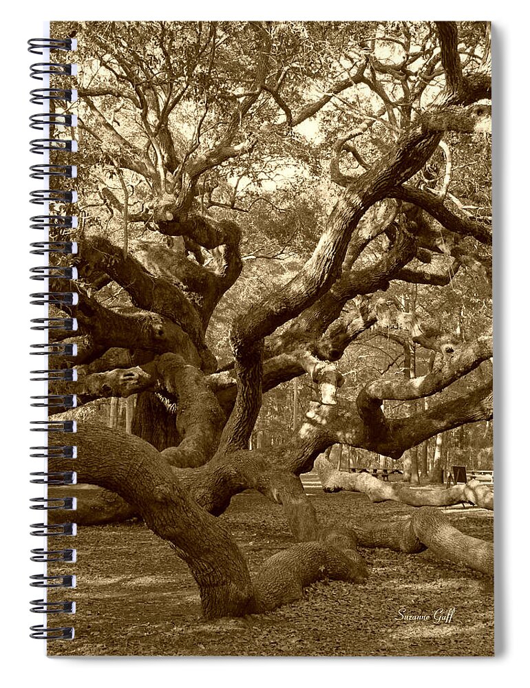 Sepia Spiral Notebook featuring the photograph Angel Oak in Sepia by Suzanne Gaff