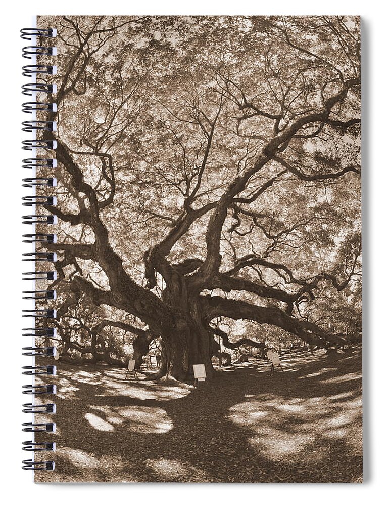 Angel Island Johns Island Sepia Spiral Notebook featuring the photograph Angel Oak Johns Island Sepia by Lisa Wooten