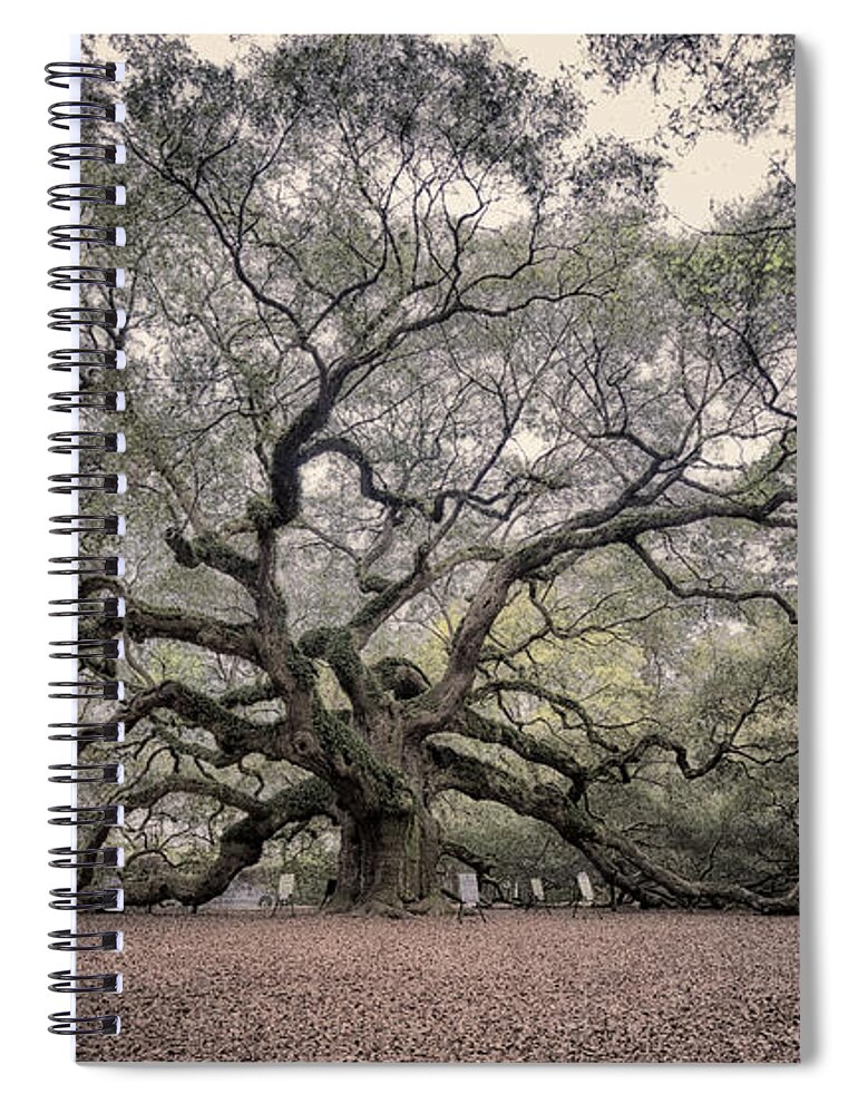 South Carolina Spiral Notebook featuring the photograph Angel Oak by Robert Fawcett