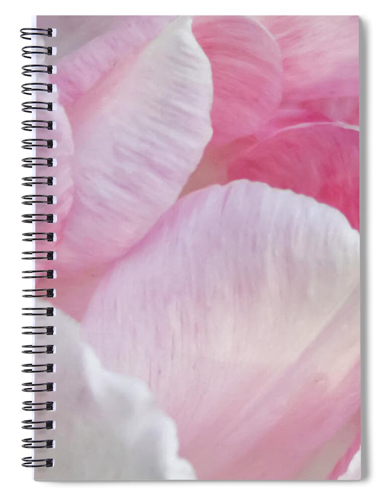 Flower Spiral Notebook featuring the photograph Angelique Peony Tulip #3 by Patti Deters