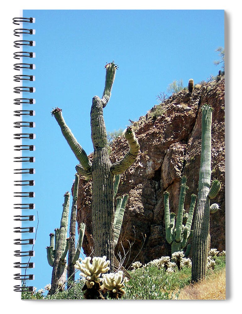 Cactus Spiral Notebook featuring the photograph Animated Southwest Cactus 1 by Ilia -