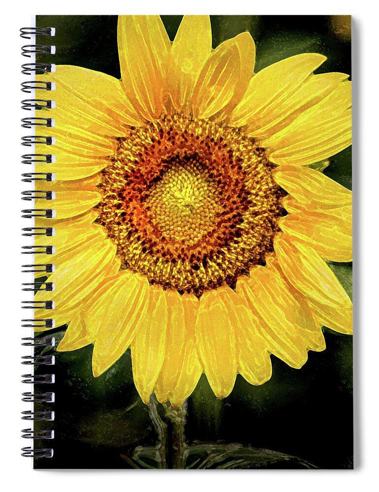 Sunflower Spiral Notebook featuring the photograph Another Artistic Sunflower by Don Johnson