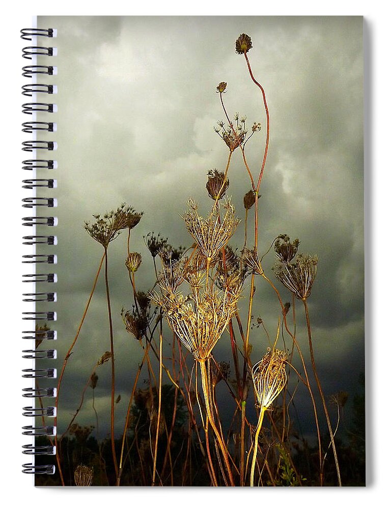Nature Spiral Notebook featuring the photograph Anticipation by Viviana Nadowski