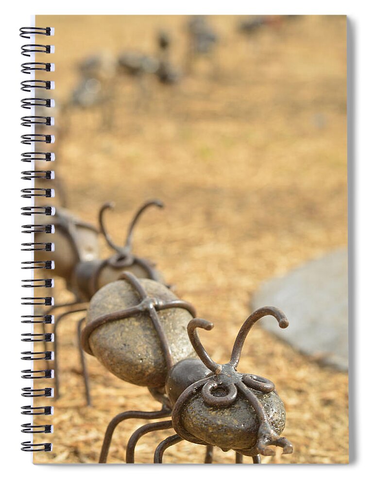 Ants Spiral Notebook featuring the photograph Ants Come Marching by Pamela Patch
