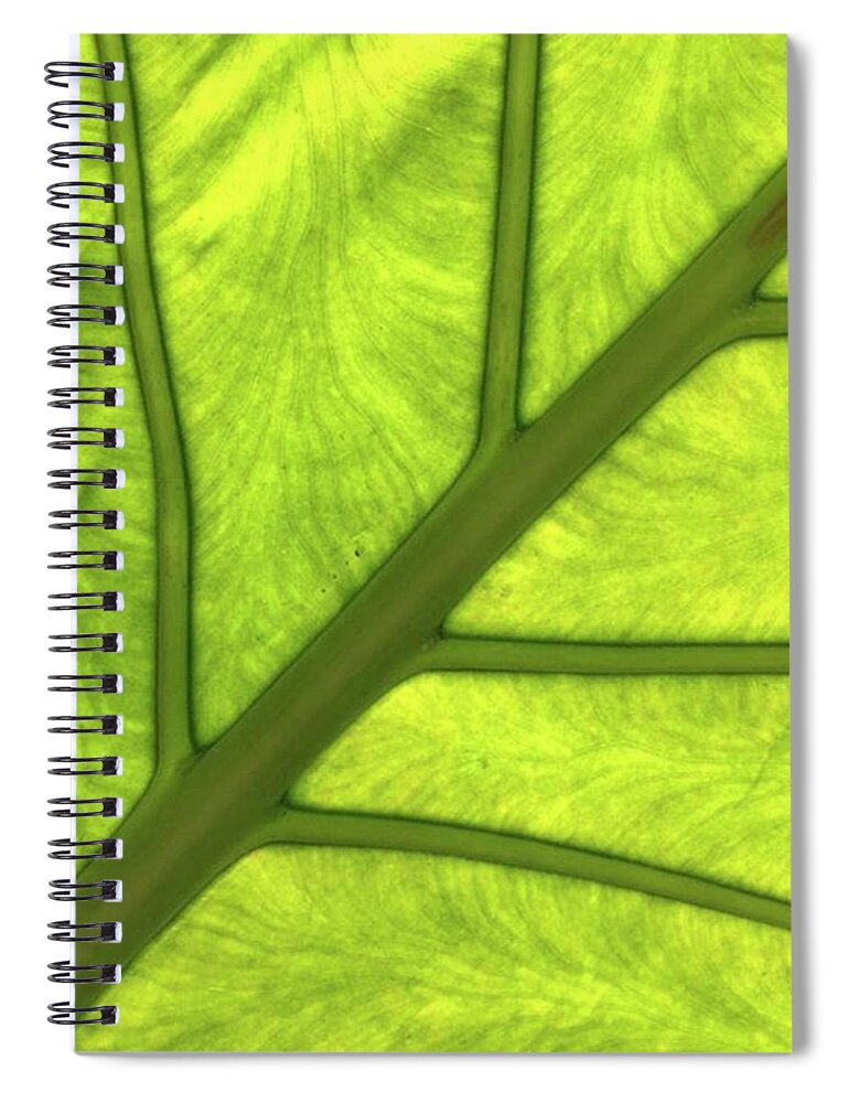 Grandwailea Spiral Notebook featuring the photograph Anybody Know What Kind Of Leaf This Is? by Ginger Oppenheimer