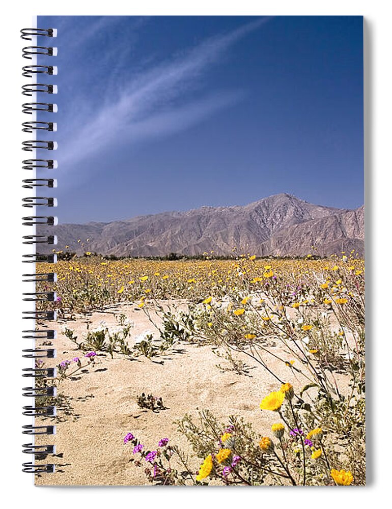 Anza Borrego Spiral Notebook featuring the photograph Anza Borrego Wildflowers by Endre Balogh