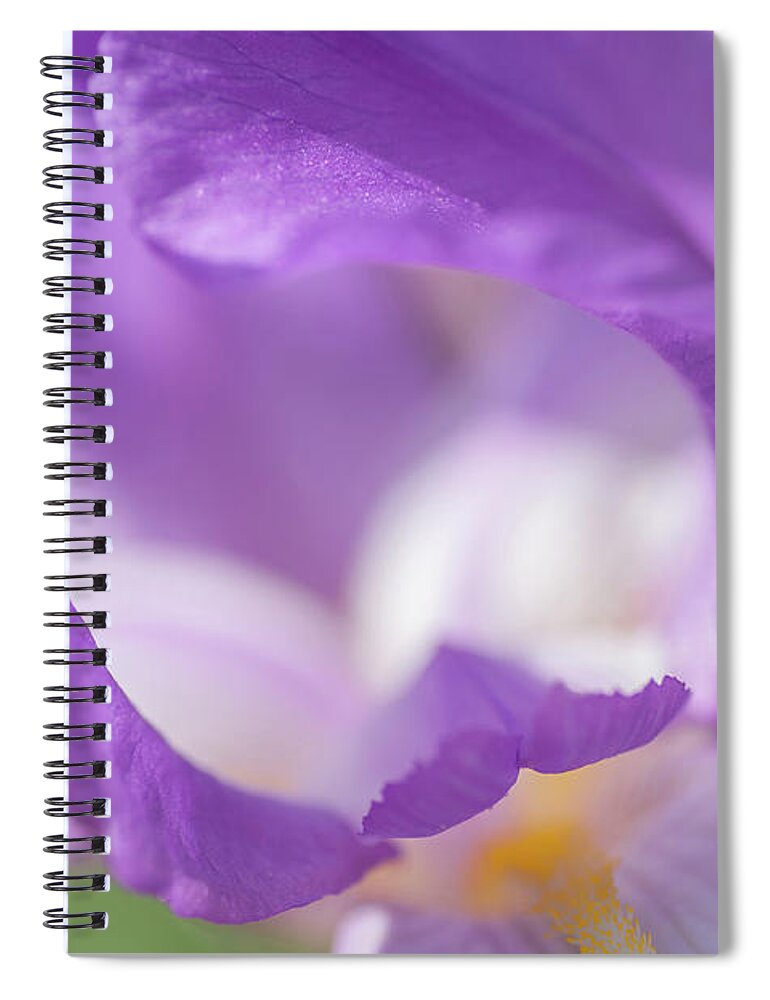 Jenny Rainbow Fine Art Photography Spiral Notebook featuring the photograph Aphrodite Macro 1. The Beauty of Irises by Jenny Rainbow
