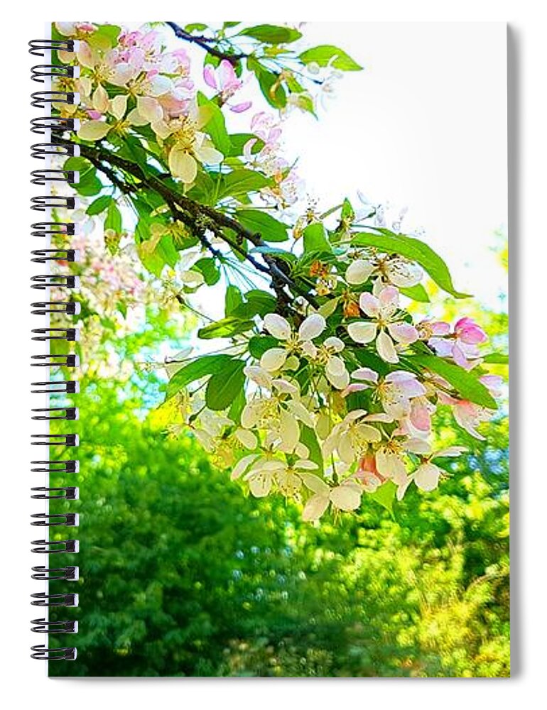 Appleblossom Spiral Notebook featuring the photograph Apple Blossom Crisp by Rowena Tutty