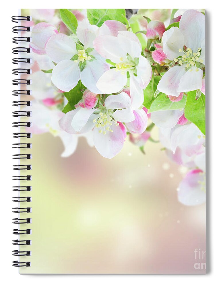 Flower Spiral Notebook featuring the photograph Apple Tree Blossom II #1 by Anastasy Yarmolovich
