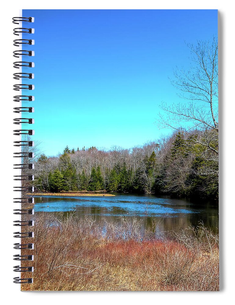 April At The Dam Spiral Notebook featuring the photograph April at the Dam by David Patterson