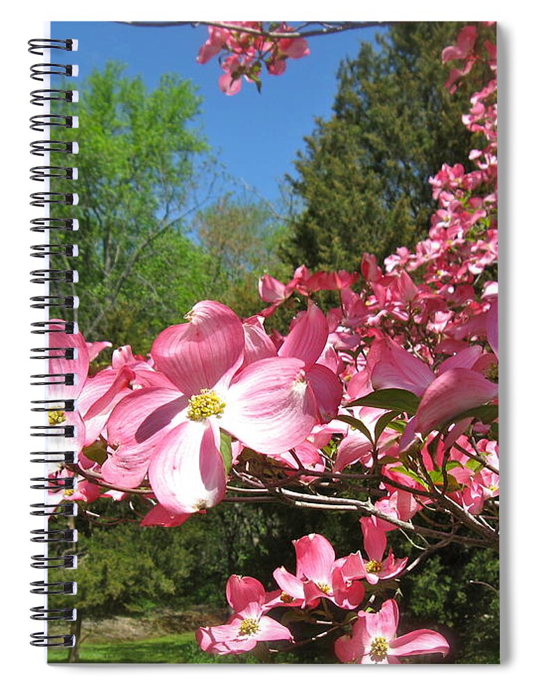 Pink Dogwood Tree Spiral Notebook featuring the photograph April in Bloom by Nancy Patterson