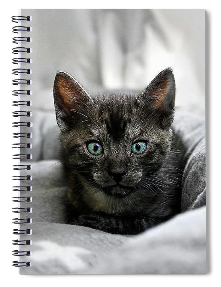 Aqua Eyes Spiral Notebook featuring the photograph Aqua Eyes by Kaye Menner by Kaye Menner