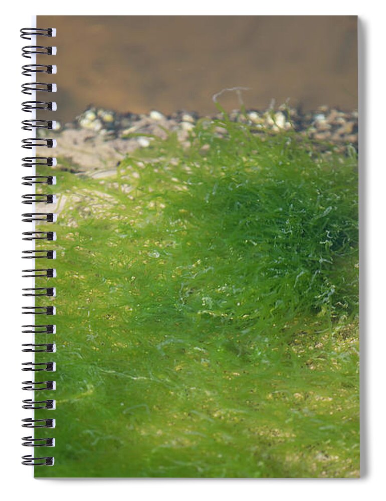 Water Spiral Notebook featuring the photograph Aqua Grass Marine Scape by Dale Powell