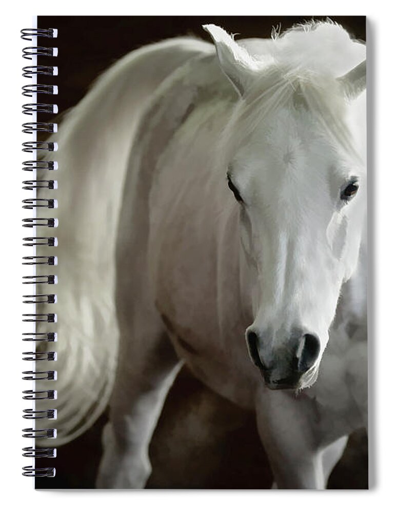Horse Spiral Notebook featuring the photograph Arabian Horse by Athena Mckinzie