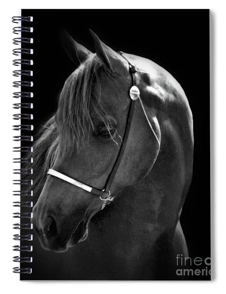  Animal Spiral Notebook featuring the photograph Arabian Horse in Black and White by Sandra Huston